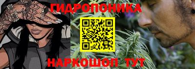 дживик Кандалакша