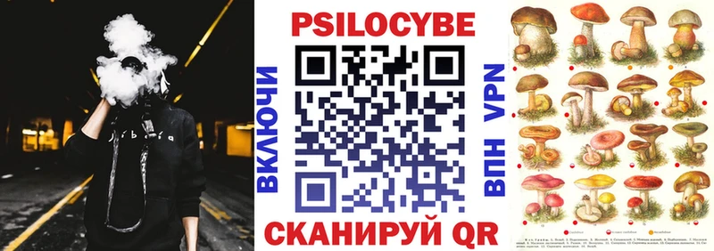 Галлюциногенные грибы Psilocybine cubensis  мега маркетплейс  Курчалой 