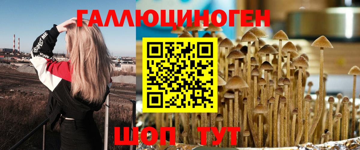 Псилоцибиновые грибы ЛСД Курчалой