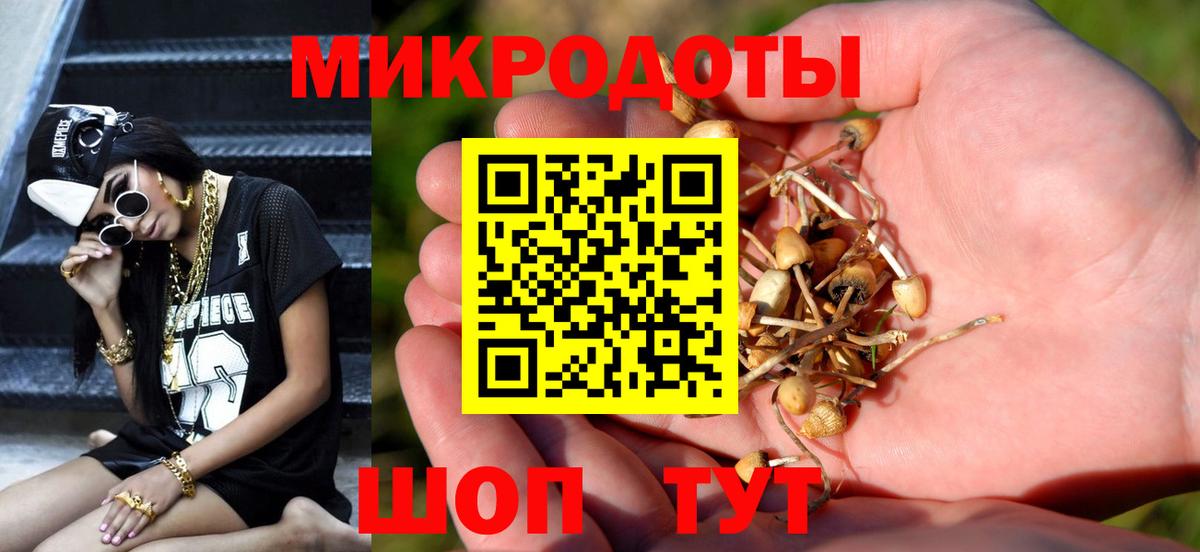 Галлюциногенные грибы мухоморы  Вход с VPN  Галлюциногенные грибы мухоморы  Курчалой 